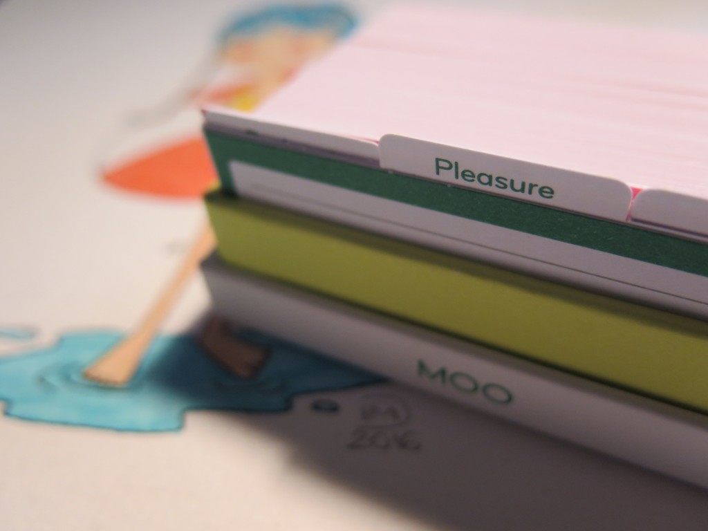 moo-minicards-illustration-isabelle-petits-brins2