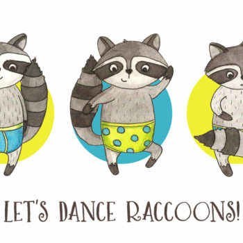 Illustration jeunesse ratons laveurs