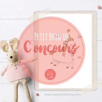 Concours Instagram