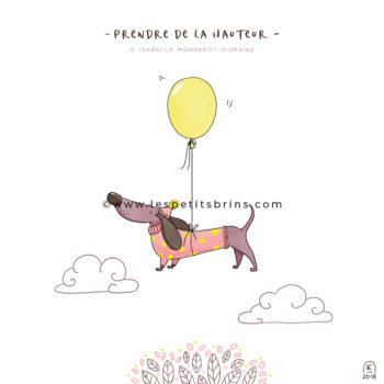 Illustration jeunesse expression illustrée humour prendre de la hauteur - teckel dachshund