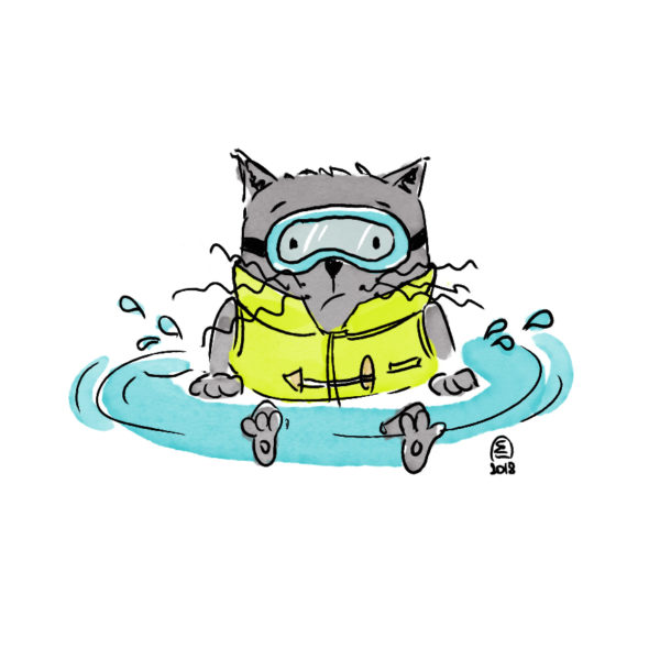 Illustration jeunesse chat eau humour