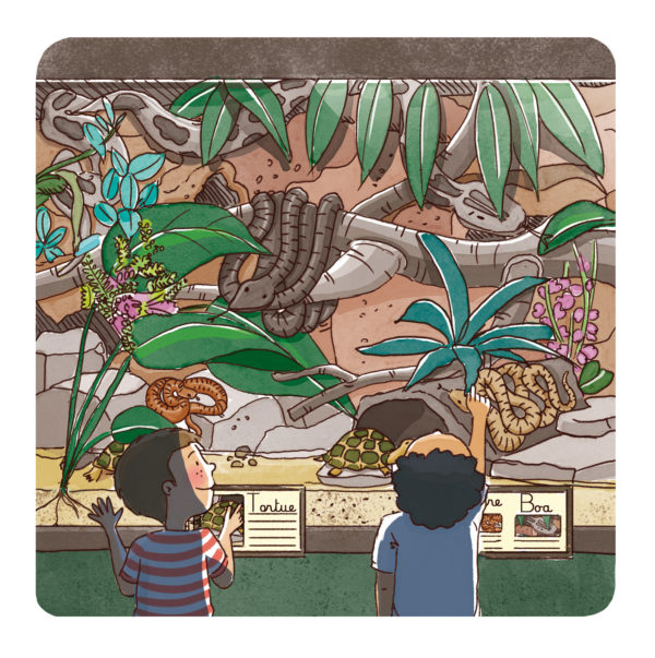 Illustration jeunesse été vivarium pour Larousse