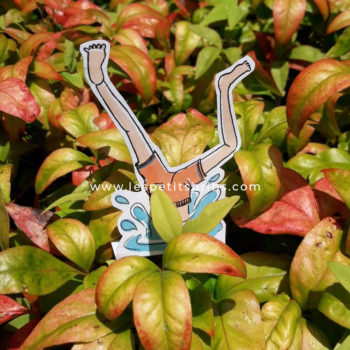 Illustration jeunesse plonger