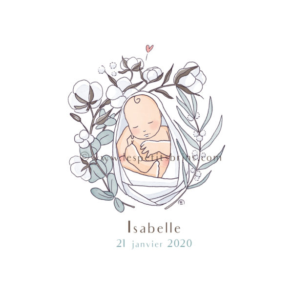 Faire part de naissance illustré coton cocon eucalyptus